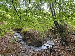 Tief eingegraben mäandert die Reebeck südlich Braake