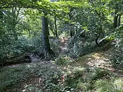 Geländeformation auf dem Gallberg