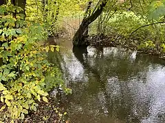 Hasper Bach mit geringer Fließdynamik
