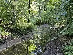 Sandbach an der Einmündung des Krebsbaches bei Kesselsweier