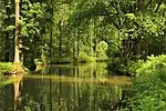 Oberspreewald, mit Dorfanlagen