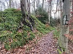 Üppig mit Hainsimsen bewachsene Wupperfelsen im Herkensiepener Bachtal