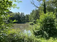 Teich bei Ellershof