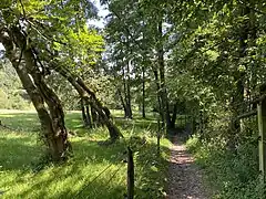 Weg in südl. Bereich des NSG