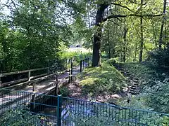 Steg üb den Laubach im südl. Bereich des NSG