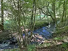 Unterlauf Leiverbach Nähe Pixberger Mühle