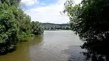 Mündung der Ahr