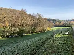 Weideland zwischen Deilbachstraße und Bach