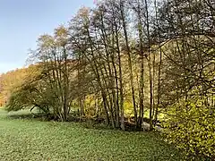 Windrather Bach mündet in den Deilbach