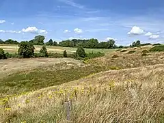 Nach Norden ausgreifendes seitliches Muldental (Unten im Feld / Am Jungenbusch)