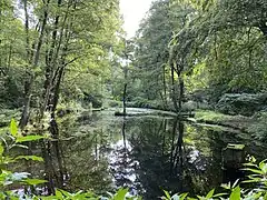 Teich im mittleren Hühnerbachtal