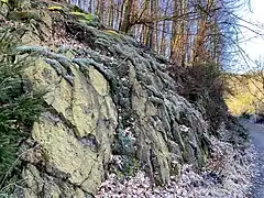 Bemooste Felsen an der Sengbach-Vorsperre