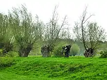 Quellgebiet der Gieseler