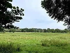 Bruchhauser Feuchtwiesen