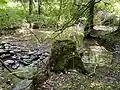 Stöcker Bach – Kolk mit Bachforellen