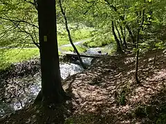 Wanderweg / Fußgängerbrücke über die Kleine Dhünn