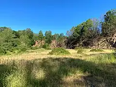 Magerwiese im zentralen Steinbruchkessel