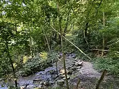 Stinderbach unterhalb des ehem. Fischteiches