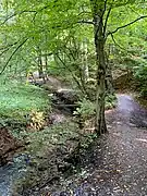Stinderbach Oberlauf