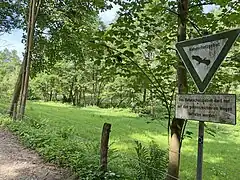 NSG Sumpfgebiet im Ölbachtal