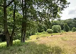 Tenter Bachtal