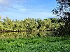 Baumberger Graben erweitert sich zu einem See