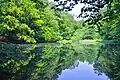 Teich im Saalbachtal