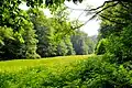 Auwiese im Saalbachtal