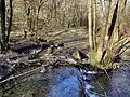 Abzweig Obergraben Wollbruchsmühle