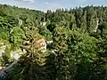 Blick vom Aussichtspunkt Nachbar über die Schweizermühle im Bielatal