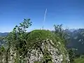 Auf dem Nägelekopf
