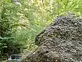 Drachenkopf mit charakteristischer Nagelfluh