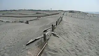 Befestigung der Sanddünen