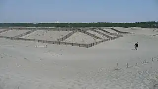 Nakatajima-Sanddünen