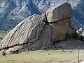 Turtle Rock