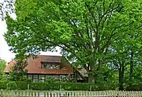 Naturdenkmal Eiche