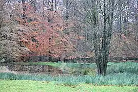 Naturlandschaft Riesewohld