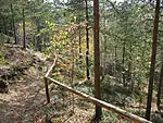 Nordwald