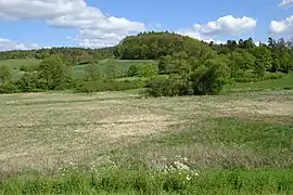 Blick aus westlicher Richtung.