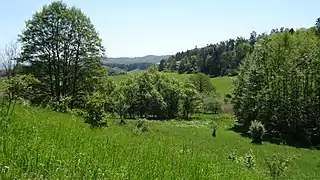 Blick aus nordwestlicher Richtung auf das Schutzgebiet.