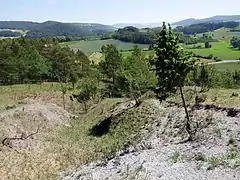 Erosionsrinne an der Ostseite des Weinbergs.