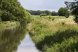 Naturschutzgebiet Fuhsetal bei Eixe