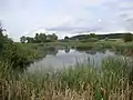 Der Hellersberger Weiher liegt direkt neben der K&nbsp;78 zwischen Odernheim am Glan und Lettweiler