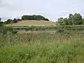 Der Hellersberger Weiher liegt direkt neben der K&nbsp;78 zwischen Odernheim am Glan und Lettweiler