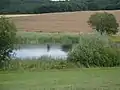 Der Hellersberger Weiher liegt direkt neben der K&nbsp;78 zwischen Odernheim am Glan und Lettweiler