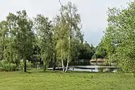 Märwiler Riet
