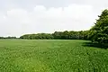 NSG am Horizont