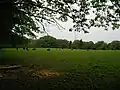 Heckrinder