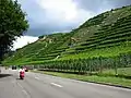 Bei Poppenweiler geht es an Weinbergen vorbei.