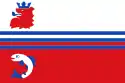 Flagge des Ortes Neerijnen